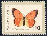 Skap-bulgaria_05_bfly-moths_1238-45.jpg-crop-190x145at368-150.jpg