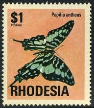 Skap-rhodesia_01_bfly.jpg-crop-192x221at99-230.jpg