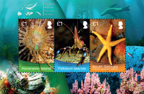 Colnect-2606-302-Marine-Life.jpg