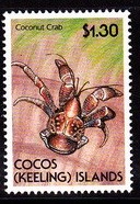 Colnect-1724-944-Coconut.jpg