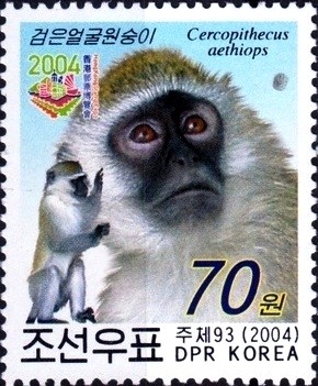 Colnect-2571-424-Grivet-Cercopithecus-aethiops.jpg