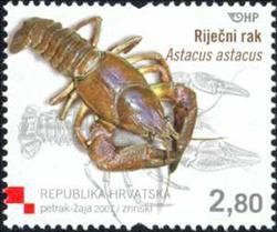 Colnect-389-984-European-Crayfish-Astacus-astacus.jpg