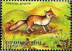 Colnect-1739-189-Corsac-Fox-Alopex-corsac-.jpg