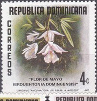 Colnect-3114-982-Broughtonia-dominigensis.jpg
