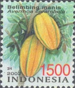 Colnect-1143-458-Belimbing-manis---Averrhoa-carambola.jpg