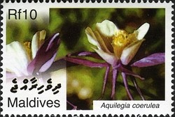Colnect-2362-941-Aquilegia-coerulea.jpg