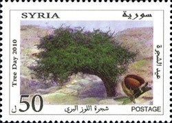 Colnect-1427-327-Tree-Day---Almond.jpg