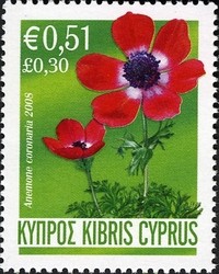 Colnect-628-697-Anemone-coronaria-Spanish-marigold.jpg