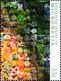 Colnect-5626-902-Flower-Mosaic-of-the-Queen-Mother.jpg