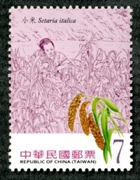 Colnect-1854-376-Setaria-italica.jpg
