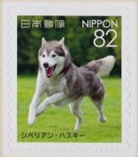 Colnect-4415-138-Siberian-Husky-Canis-lupus-familiaris.jpg