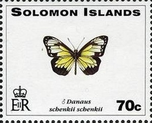 Tiger-Butterfly-Danaus-schenkii-schenkii.jpg