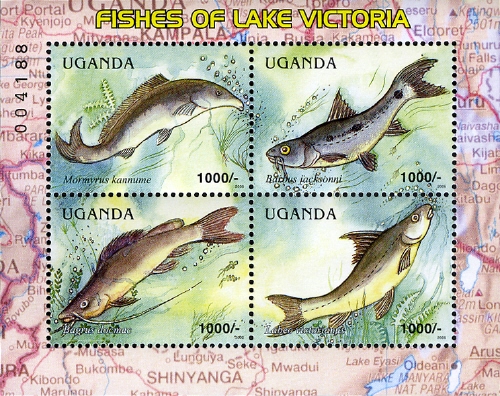 UG035MS.05.jpg