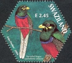 Colnect-1696-585-Bar-tailed-Trogon-Apaloderma-vittatum.jpg