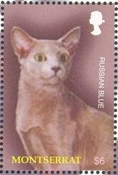 Colnect-1538-359-Russian-Blue-Felis-silvestris-catus.jpg