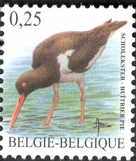 BE047.02.jpg