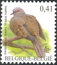 BE083.02.jpg
