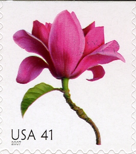 US098.07.jpg