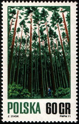 Colnect-3793-123-Forest.jpg