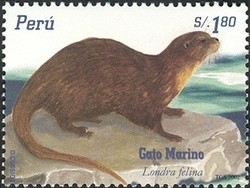 Colnect-1557-440-Sea-Cat-Lutra-felina-.jpg