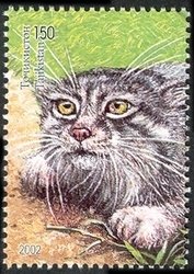 Colnect-1735-184-Pallas--s-Cat-Otocolobus-manul.jpg