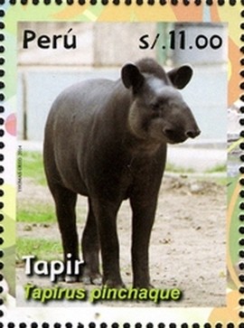 Colnect-2790-061-Mountain-Tapir-Tapirus-pinchaque.jpg