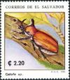 Colnect-5557-021-Beetles.jpg