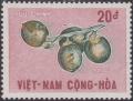 Colnect-1429-006-Areca-nuts.jpg