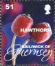 Colnect-4163-112-Hawthorn.jpg