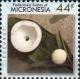 Colnect-5782-147-Coconut.jpg