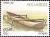 Colnect-1117-176-Cangaia.jpg