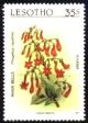 Colnect-3097-391-River-bells.jpg