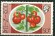 Colnect-1835-219-Tomatoes.jpg