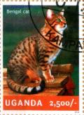 Colnect-4021-328-Bengal-cat.jpg