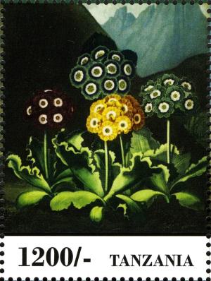 Colnect-2427-329-Flowers.jpg