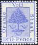 Colnect-3446-793-Orange-tree.jpg