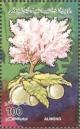 Colnect-5476-494-Almonds.jpg