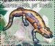 Colnect-5405-164-Salamander.jpg