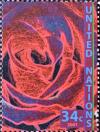 Colnect-2336-484-Rose.jpg