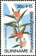 Colnect-4974-176-Blood-flower.jpg