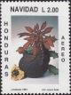 Colnect-2037-666-Poinsettias.jpg