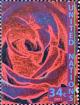 Colnect-2336-484-Rose.jpg