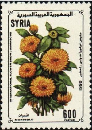 Colnect-2232-744-Marigold.jpg