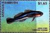 Colnect-4105-281-Neon-goby.jpg