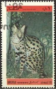Colnect-1267-785-Wild-cats.jpg