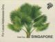 Colnect-5056-097-Palm-Tree.jpg