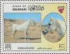 Colnect-1805-148--quot-Kuheilaan-Aafas-quot--Equus-ferus-caballus.jpg