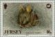 Colnect-127-247-Volcano-Rabbit-Romerolagus-diazi.jpg