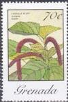 Colnect-4049-558-Acalypha-Hispida.jpg