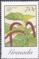 Colnect-4049-558-Acalypha-Hispida.jpg